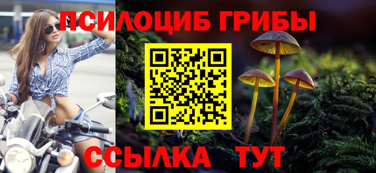 Псилоцибиновые грибы Cubensis Белая Калитва